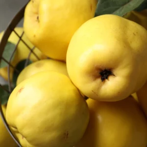 Marmelo Biologico Granel